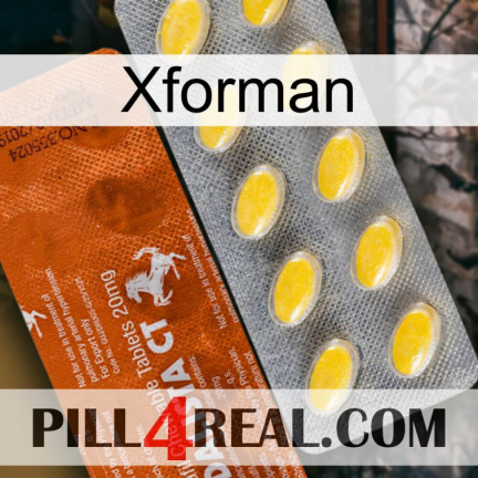 Xforman 42